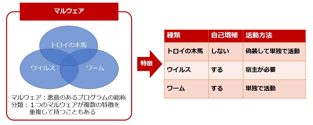 コンドームの仕組み
